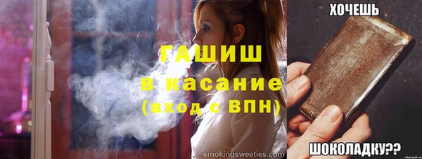 индика Алексин