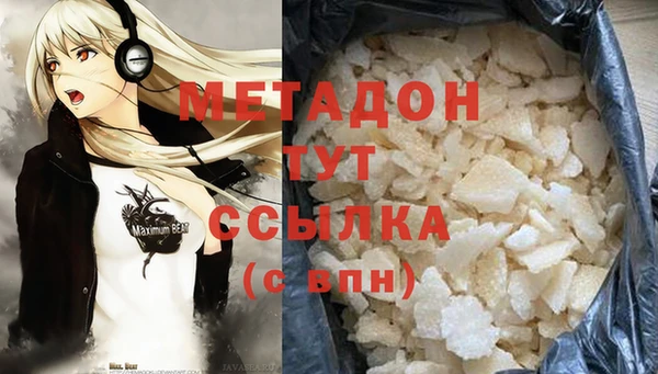 индика Алексин