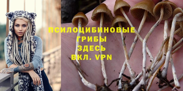 индика Алексин