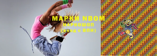 индика Алексин