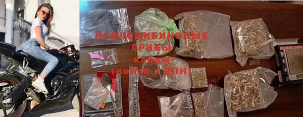 индика Алексин