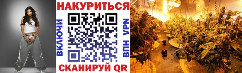 МАРИХУАНА сатива  Кольчугино 